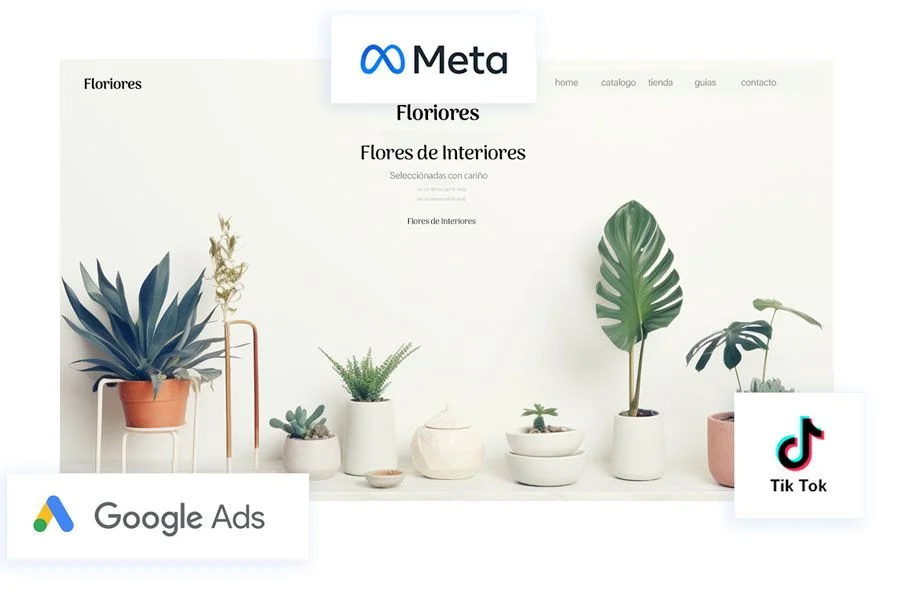 diseño web y publicidad digital